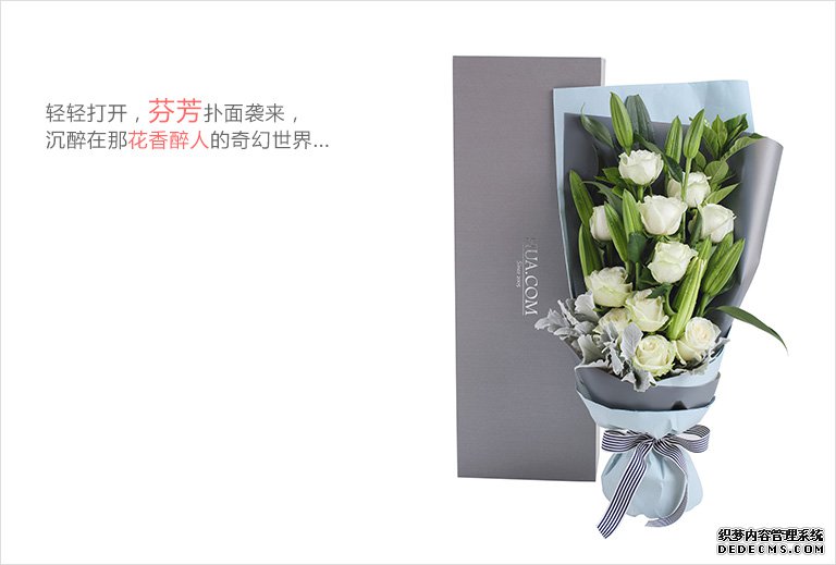 富士XF镜头和XC镜头6080yyy午夜理论片成人，探索光学艺术的卓越之选