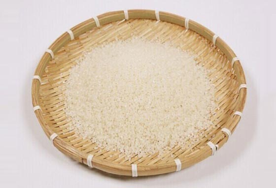 日在校园风车动漫，旋转的青春记忆与情感纠葛